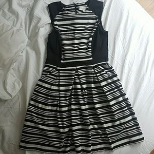 Loft Fit & Flare Dress